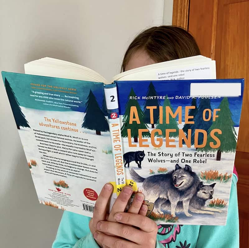 A Time of Legends Book Review