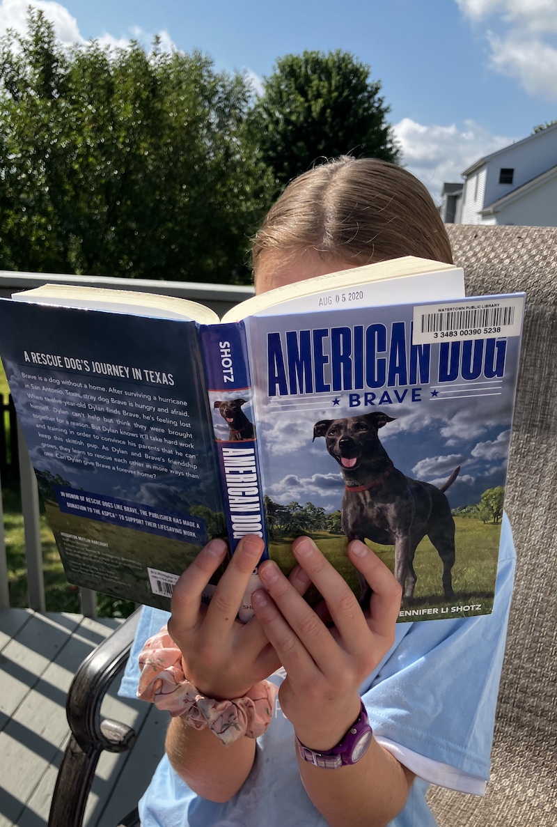 American Dog Brave Book Review Josies Joyful Book Reviews for Kids