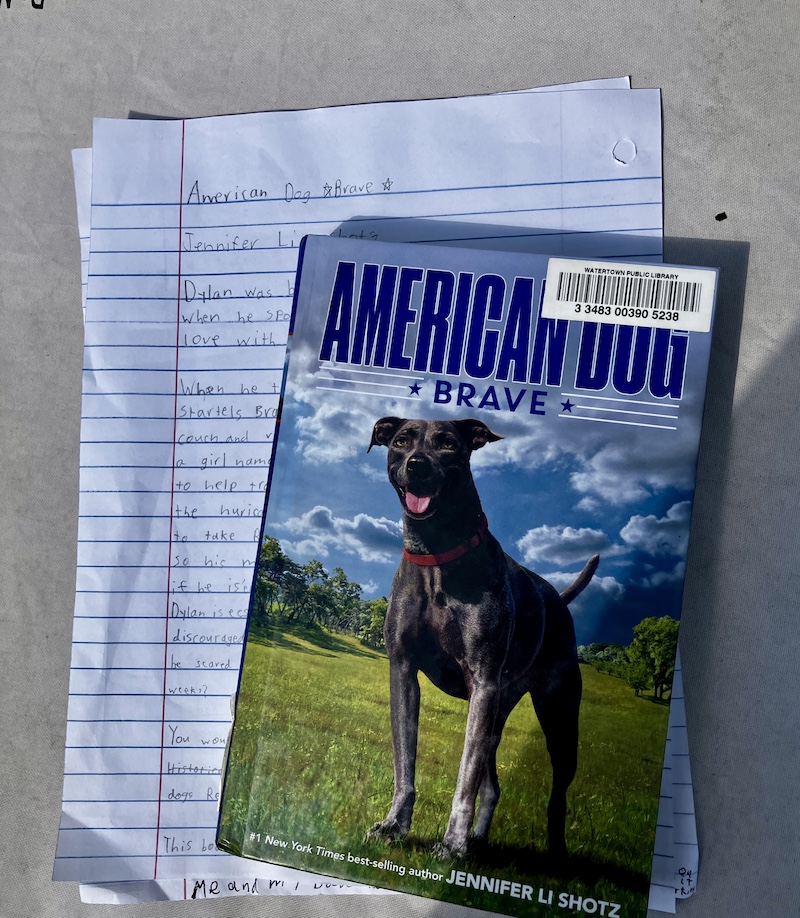 Book Review of American Dog Brave by Josie Joyful Book Reviews for Kids
