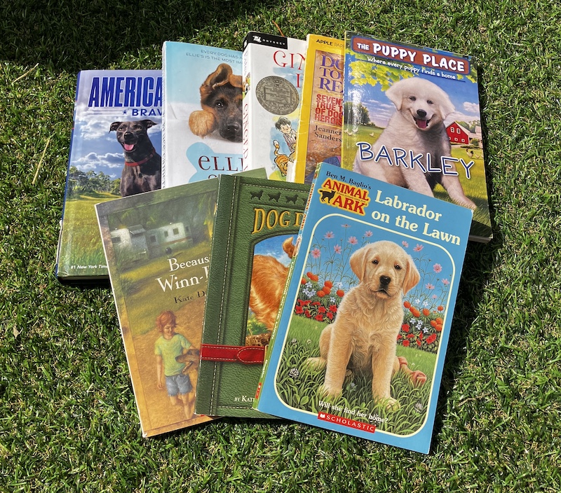 american dog book reviews brave josies joyful book reviews pinterest