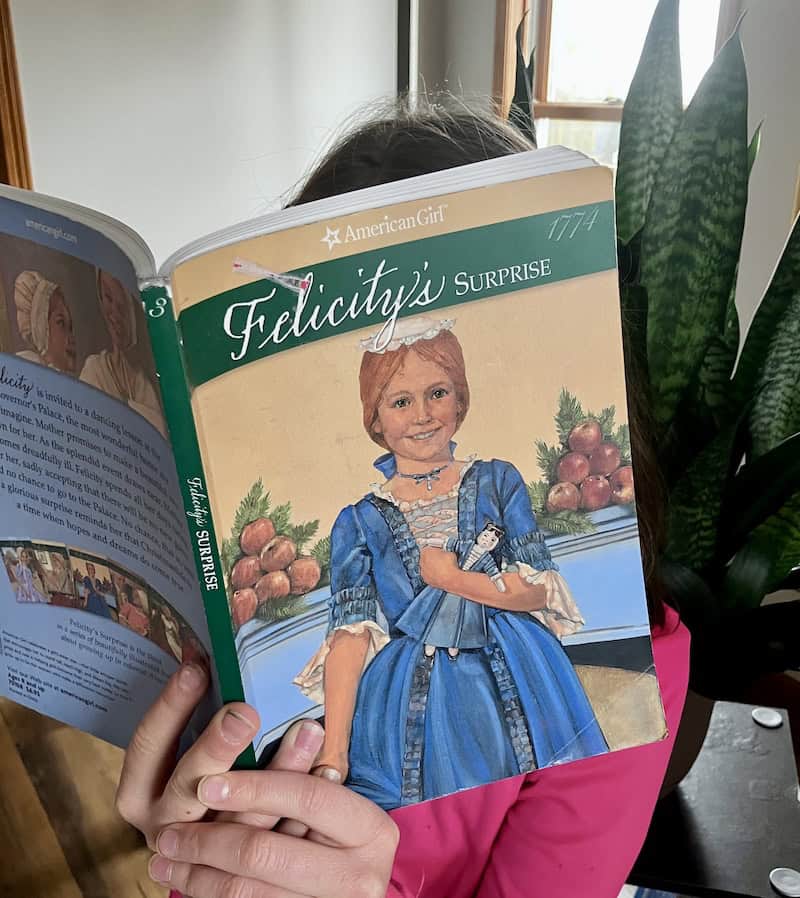 Felicitys Surprise Book Review Josies Joyful Book Reviews for Kids