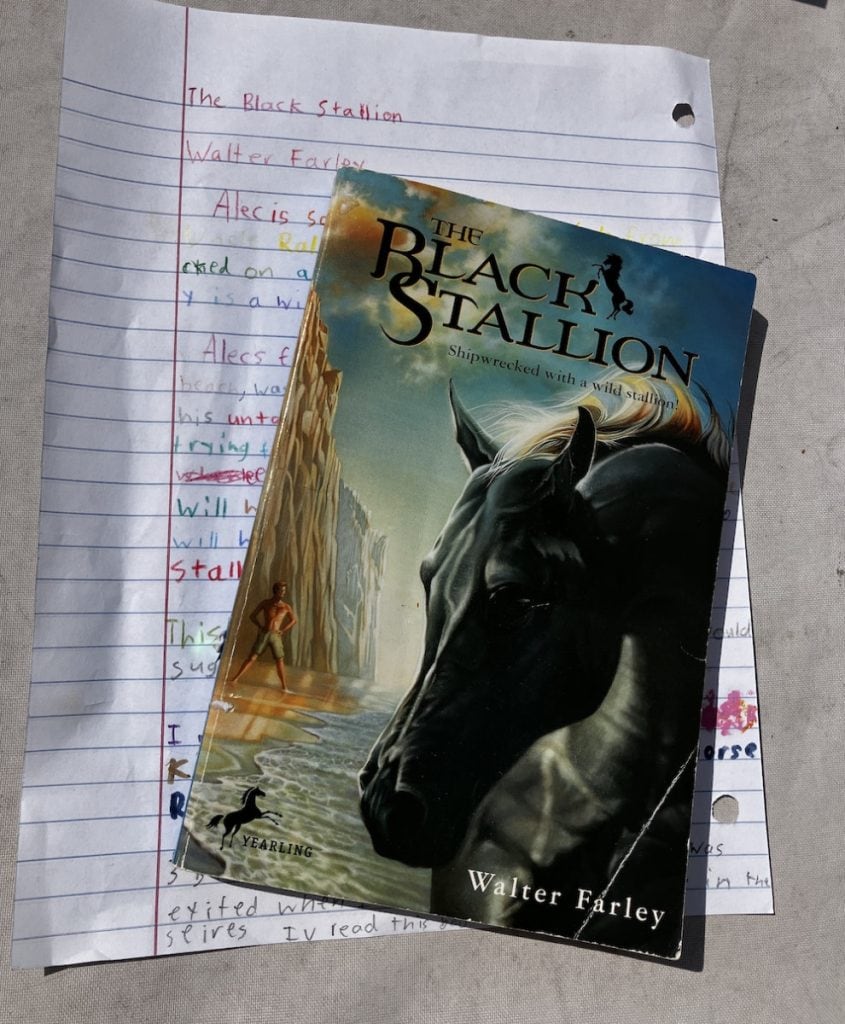 the black stallion review josies joyful book reviews for kids