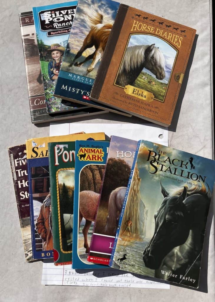 books similar to black stallion for horse lovers