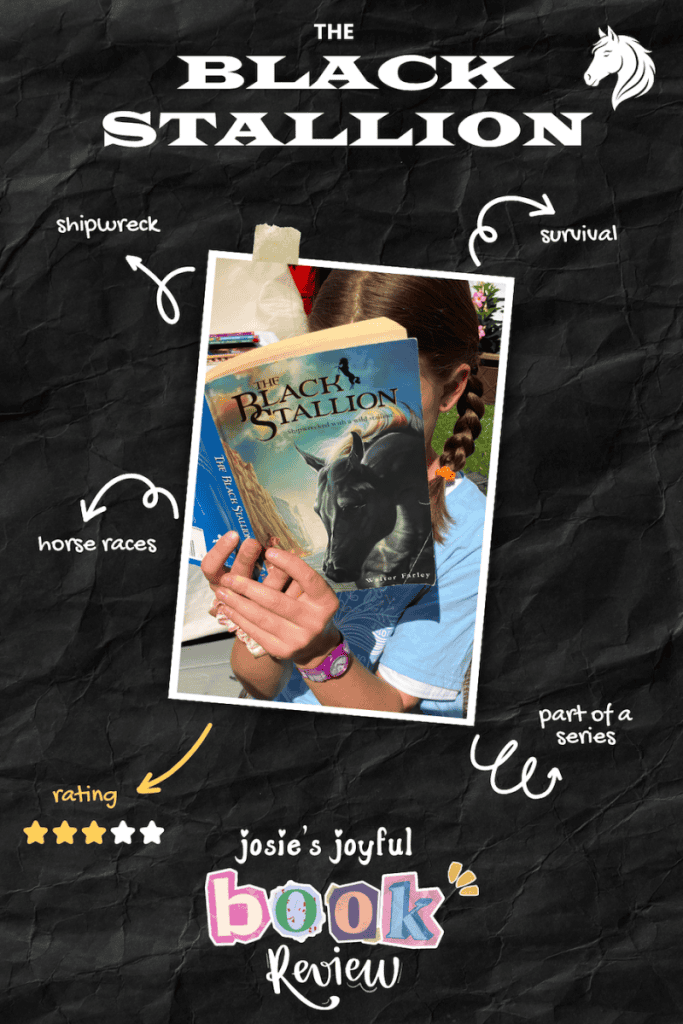 black stallion book review by kids