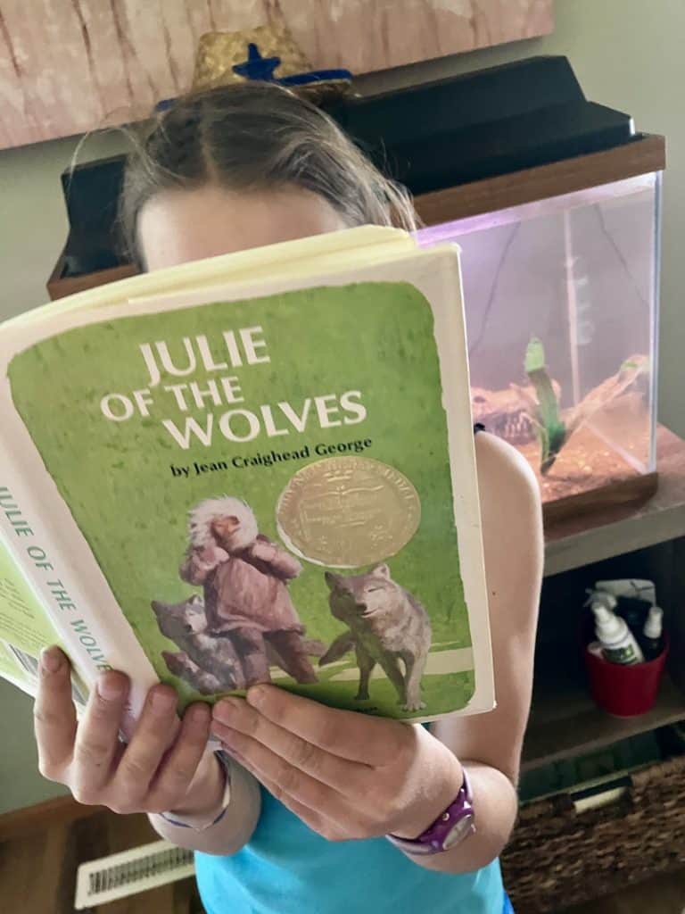 julie of the wolves book review josies joyful book reviews for kids